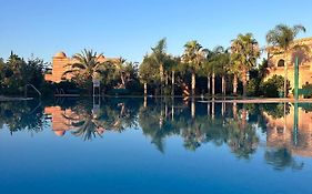 Palm View